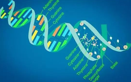 第三期医学生物信息学培训班