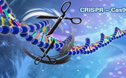 基因编辑CRISPR/Cas9靶向修饰技术培训班